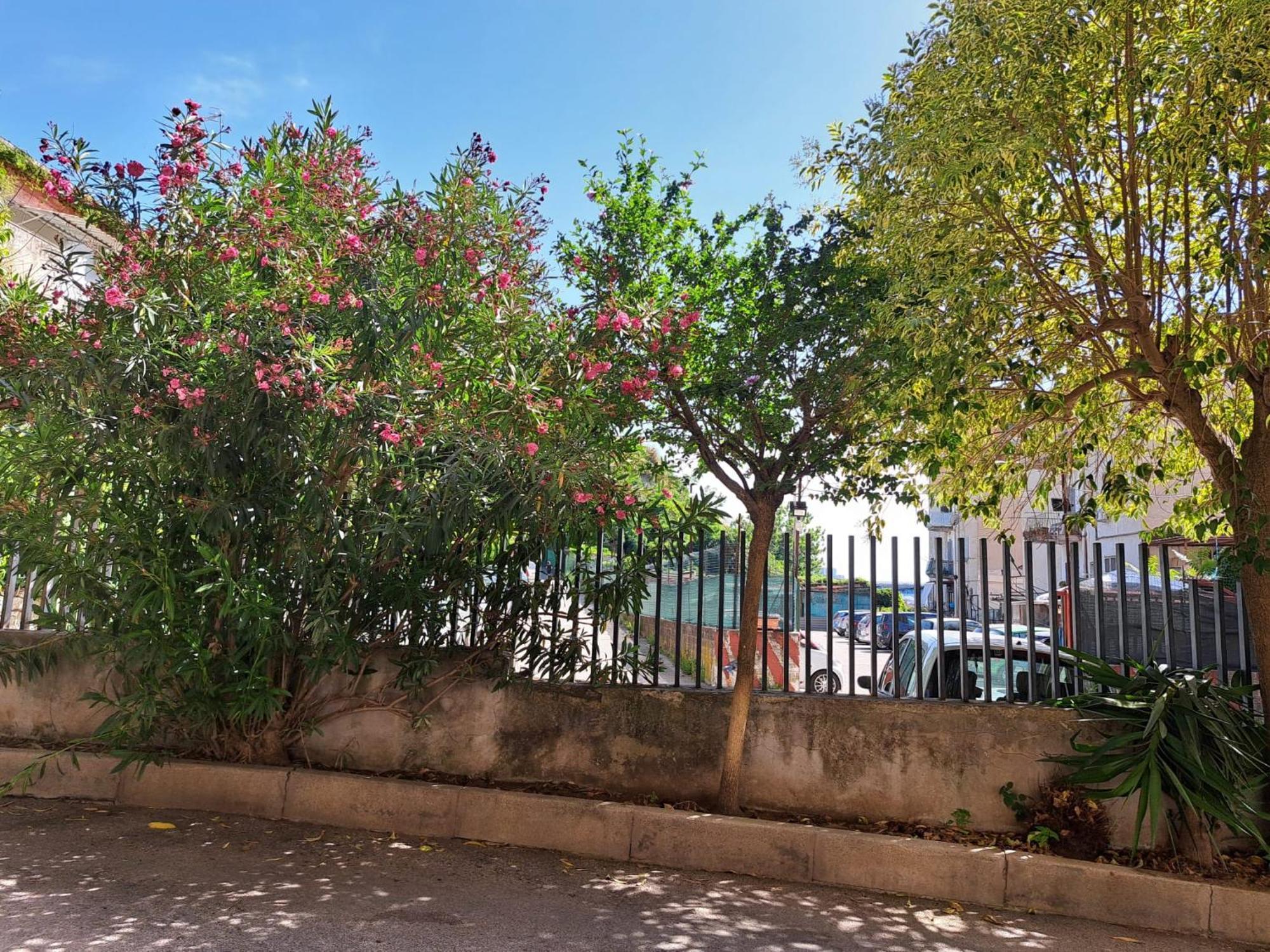 B&B Le Origini Νάπολη Εξωτερικό φωτογραφία